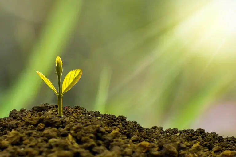 87% Say Sustainability Will Dominate in 5 Years