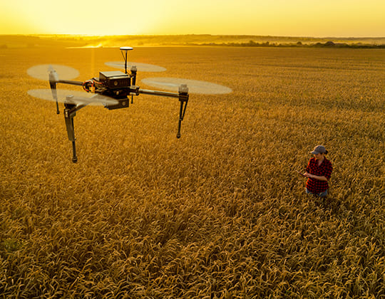 agriculture, iot